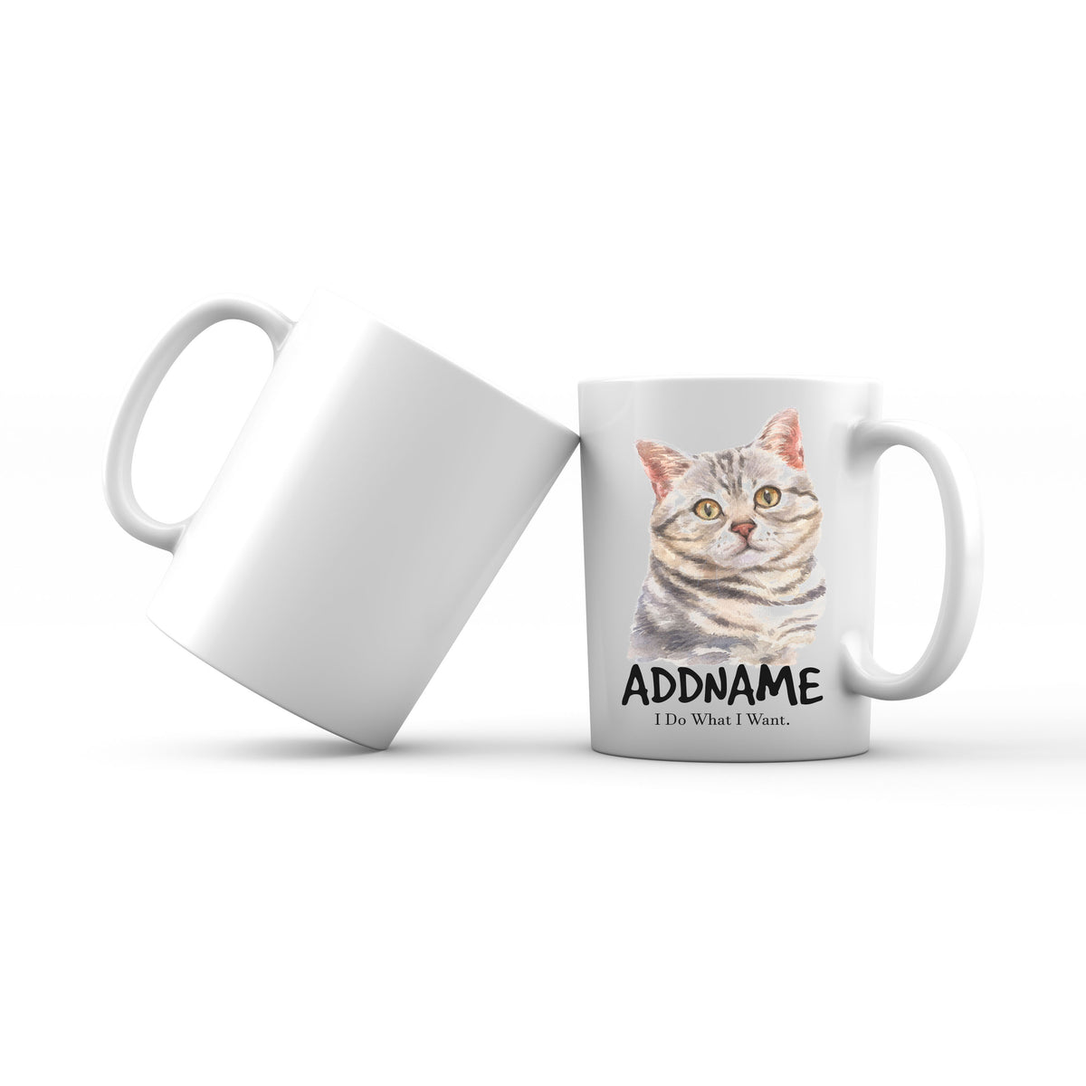 Watercolor Cat American Shorthair Grey I Do What I Want Addname Mug