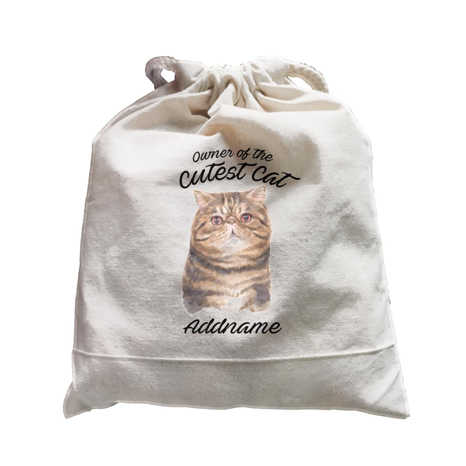 Watercolor Owner Of The Cutest Cat Exotic Shorthair Brown Addname Satchel