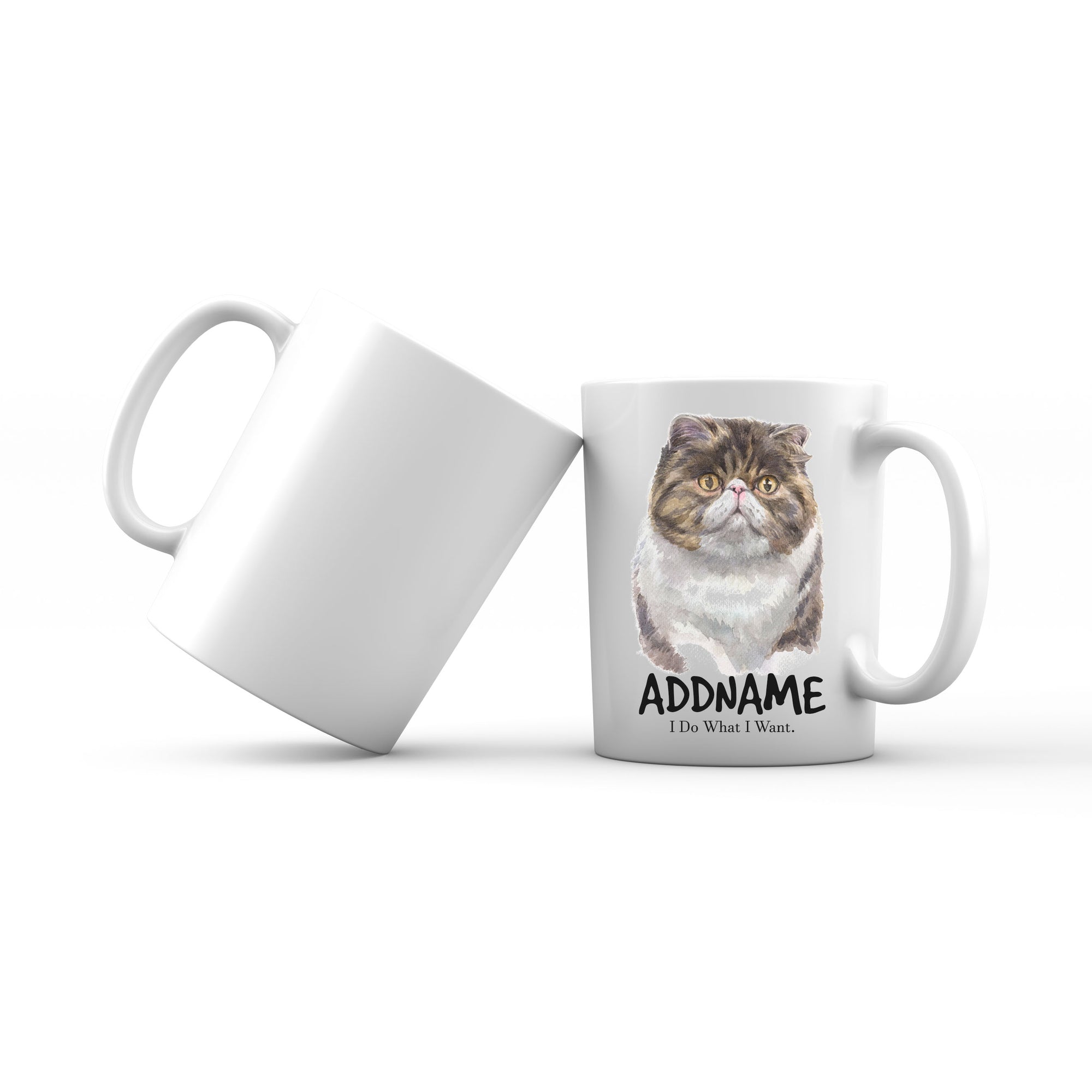 Watercolor Cat Exotic Shorthair Brown I Do What I Want Addname Mug