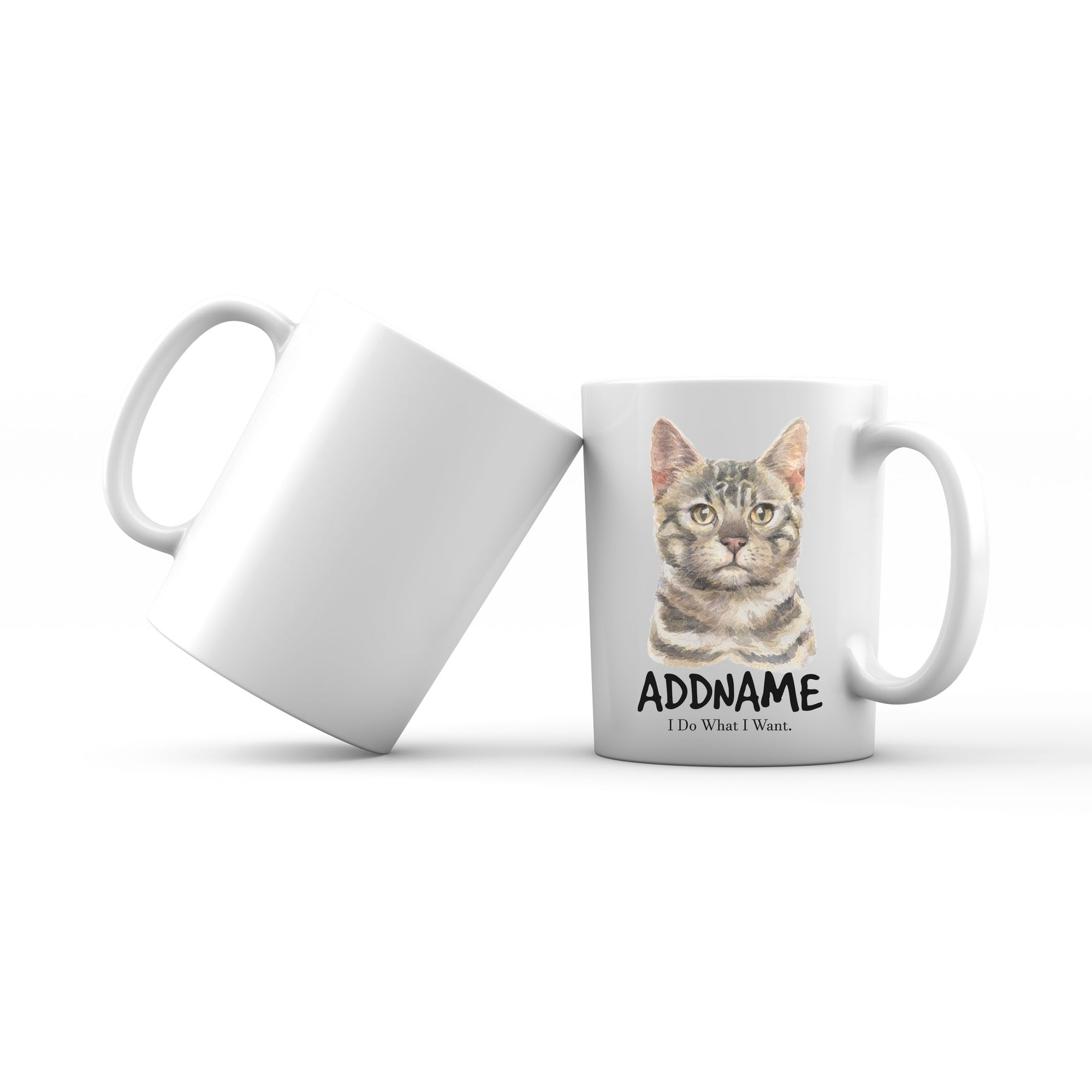 Watercolor Cat Bengel Gray I Do What I Want Addname Mug