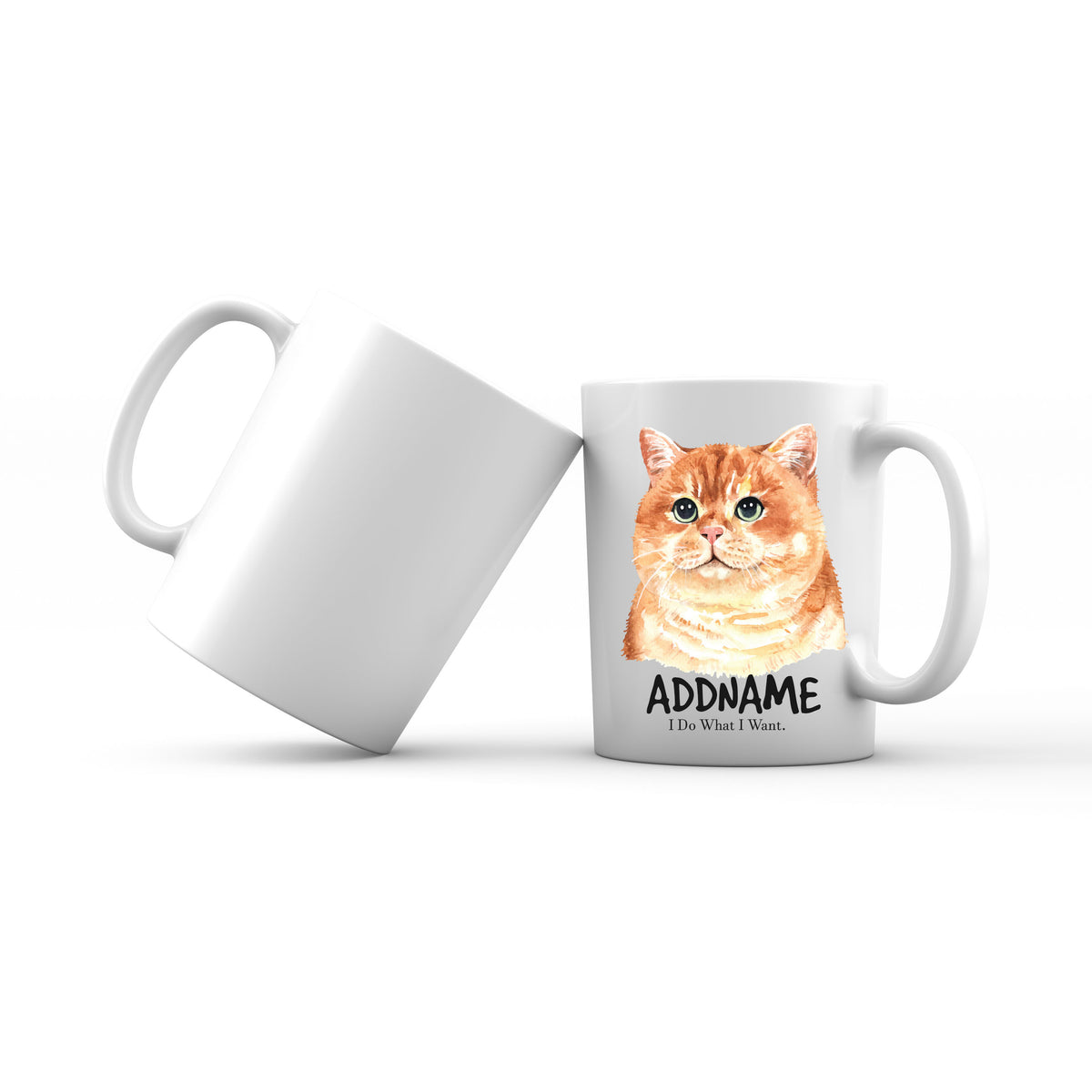 Watercolor Cat Fat Cat I Do What I Want Addname Mug