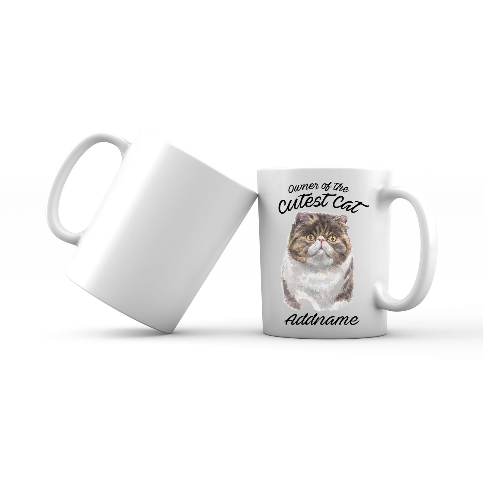 Watercolor Owner Of The Cutest Cat Exotic Shorthair Addname Mug
