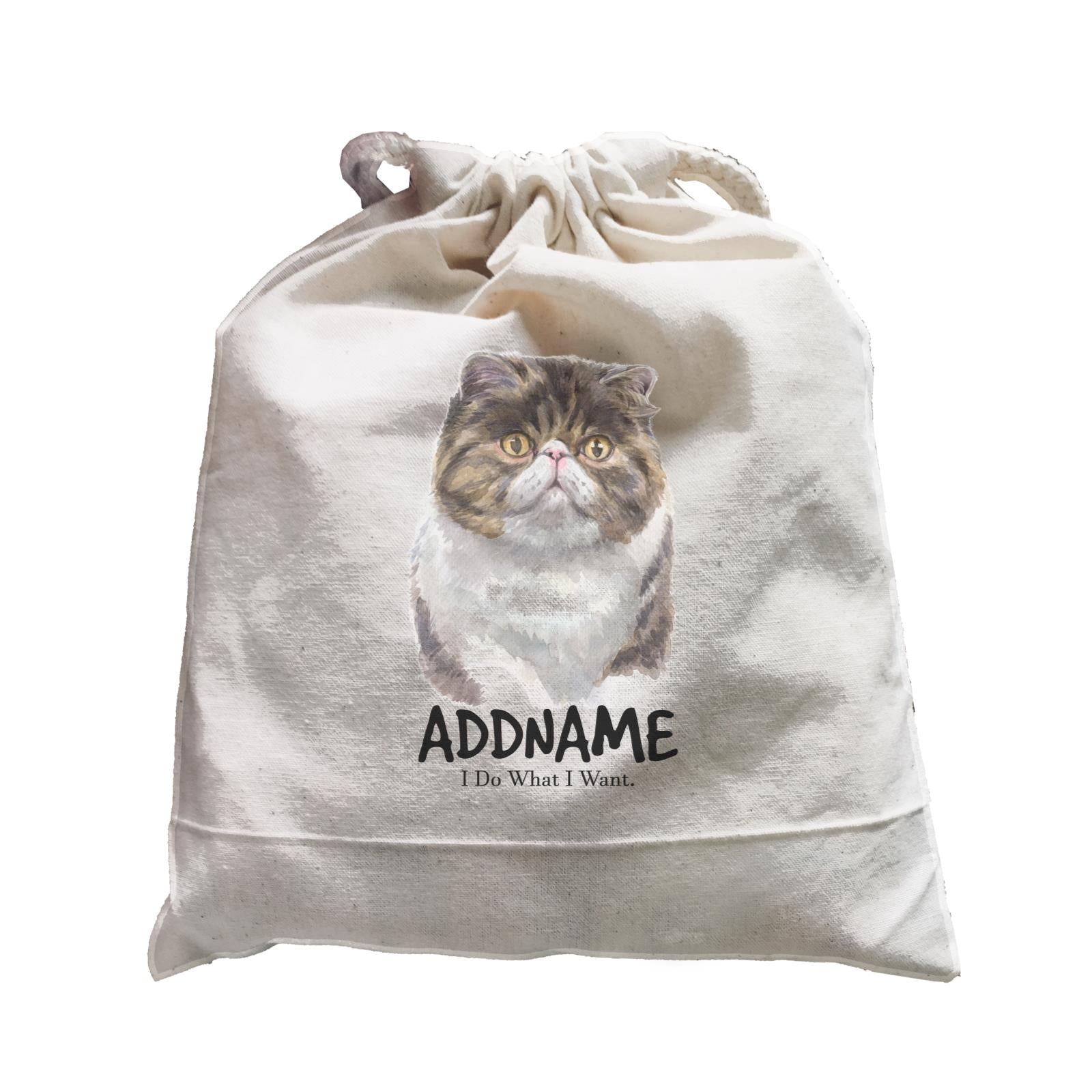 Watercolor Cat Exotic Shorthair Brown I Do What I Want Addname Satchel