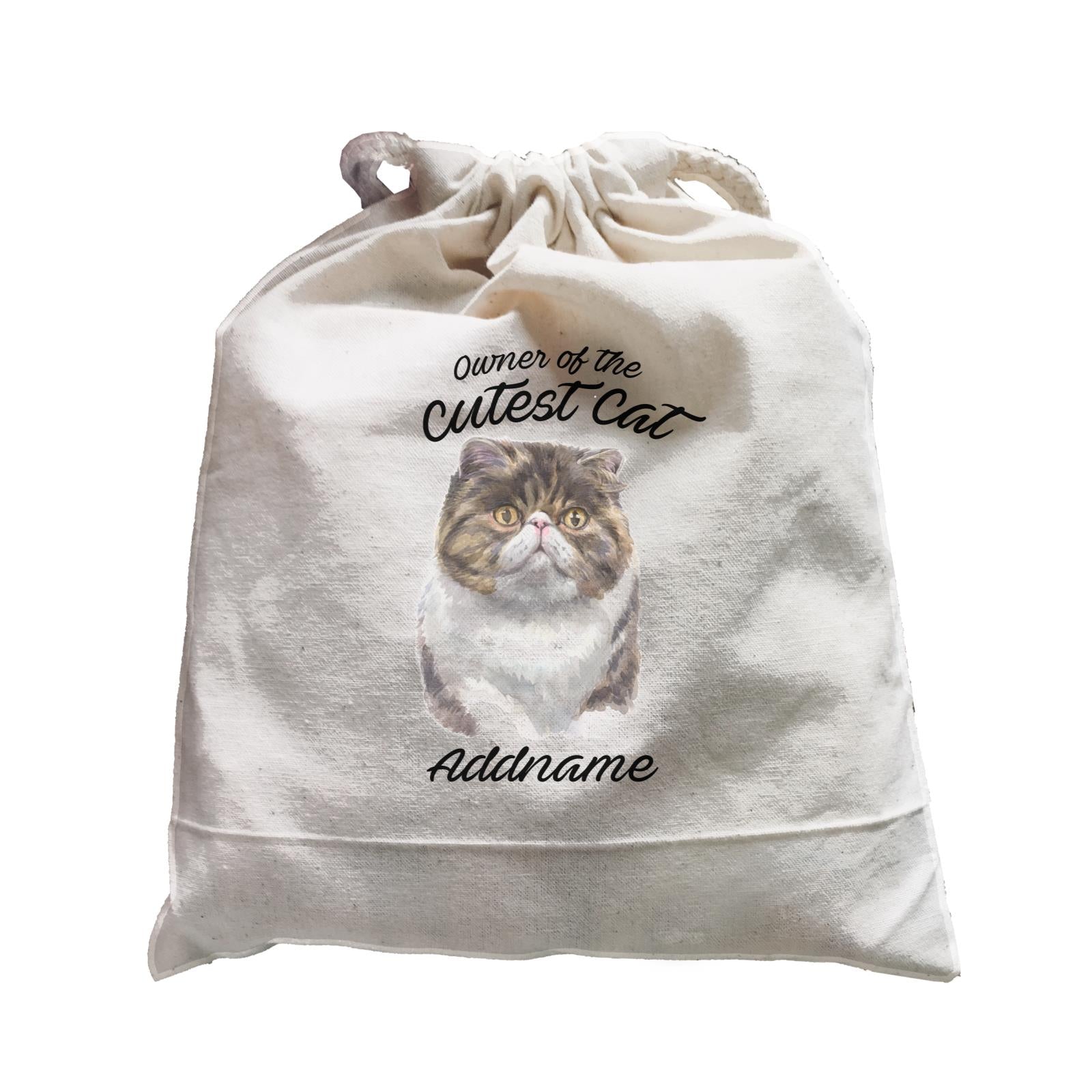 Watercolor Owner Of The Cutest Cat Exotic Shorthair Addname Satchel