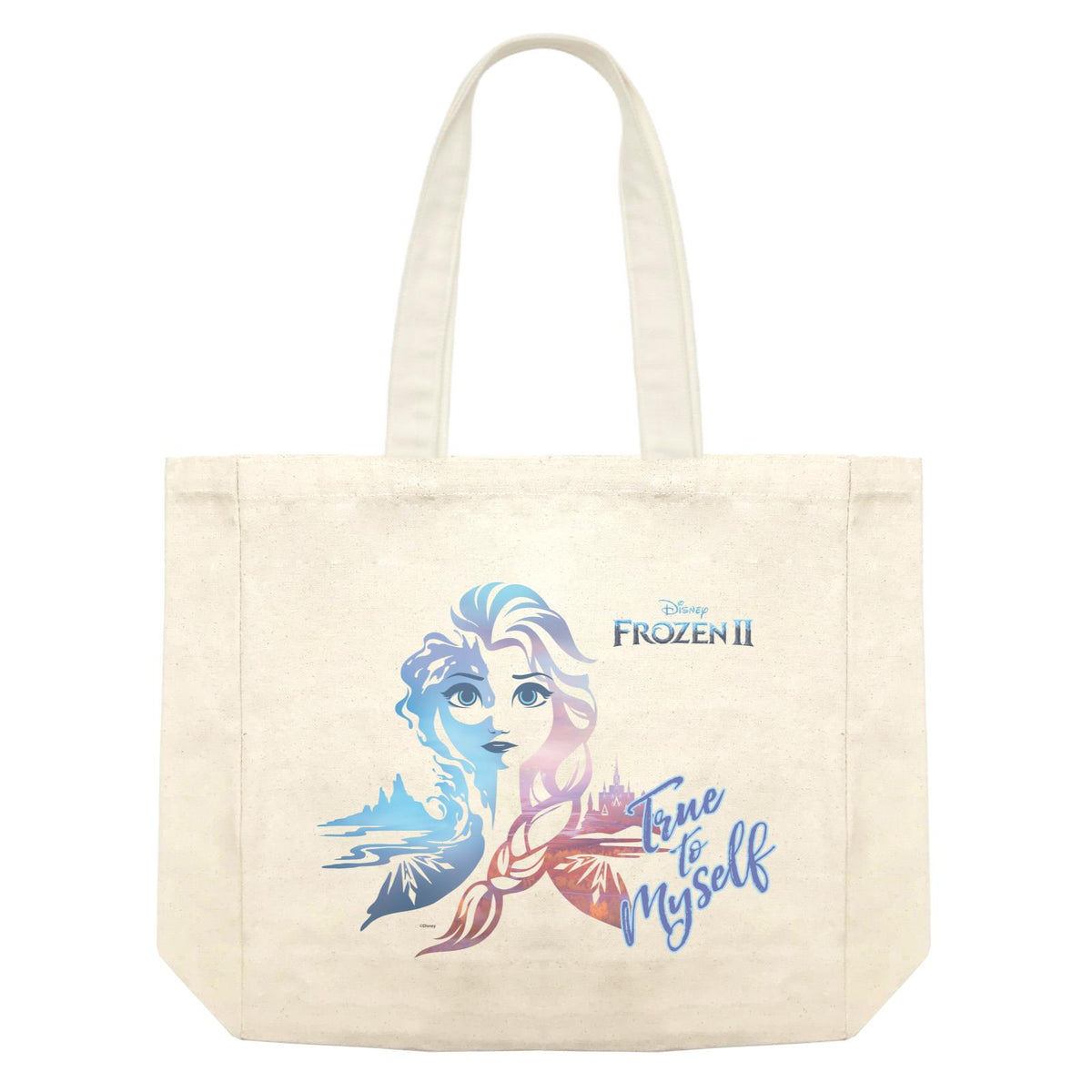 Disney Frozen 2 Hidden Truth Shopping Bag