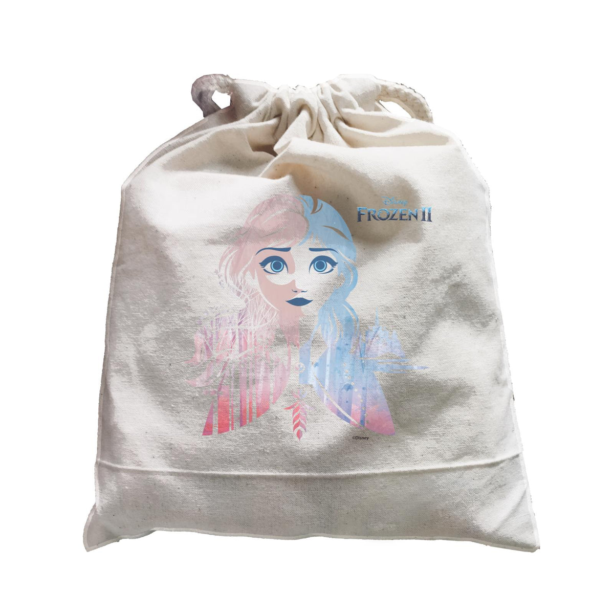 Disney Frozen 2 Hidden Truth Satchel