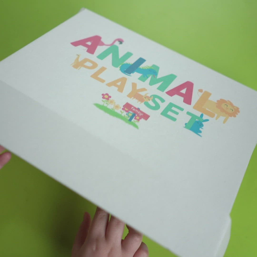 Animal Acitivity Play Box Set