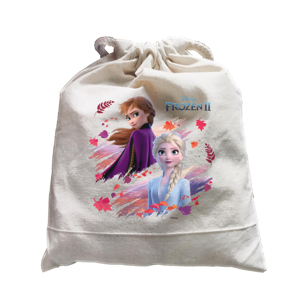 Disney Frozen 2 Destiny Calling Satchel